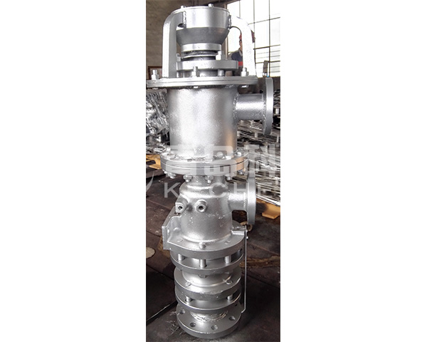 Rotary water joint with external bearing