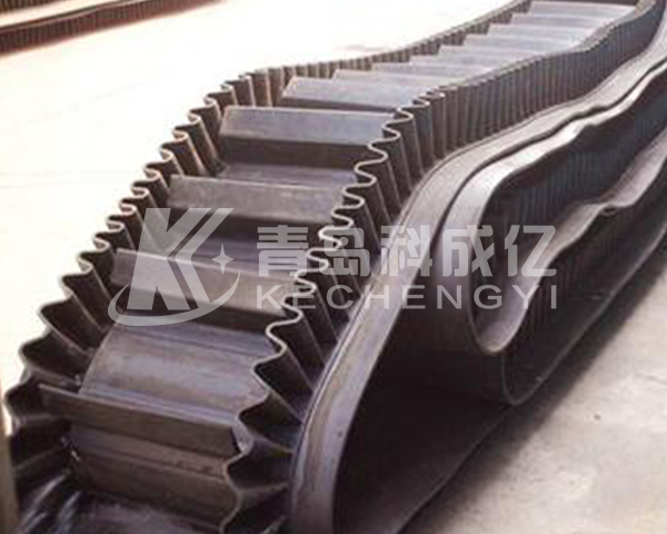 Large inclination angle conveyor