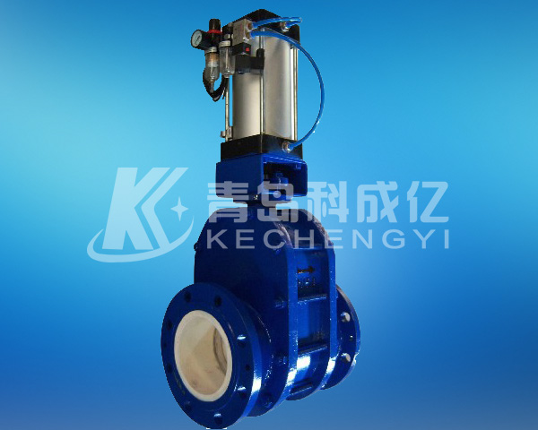 Pneumatic double gate valve